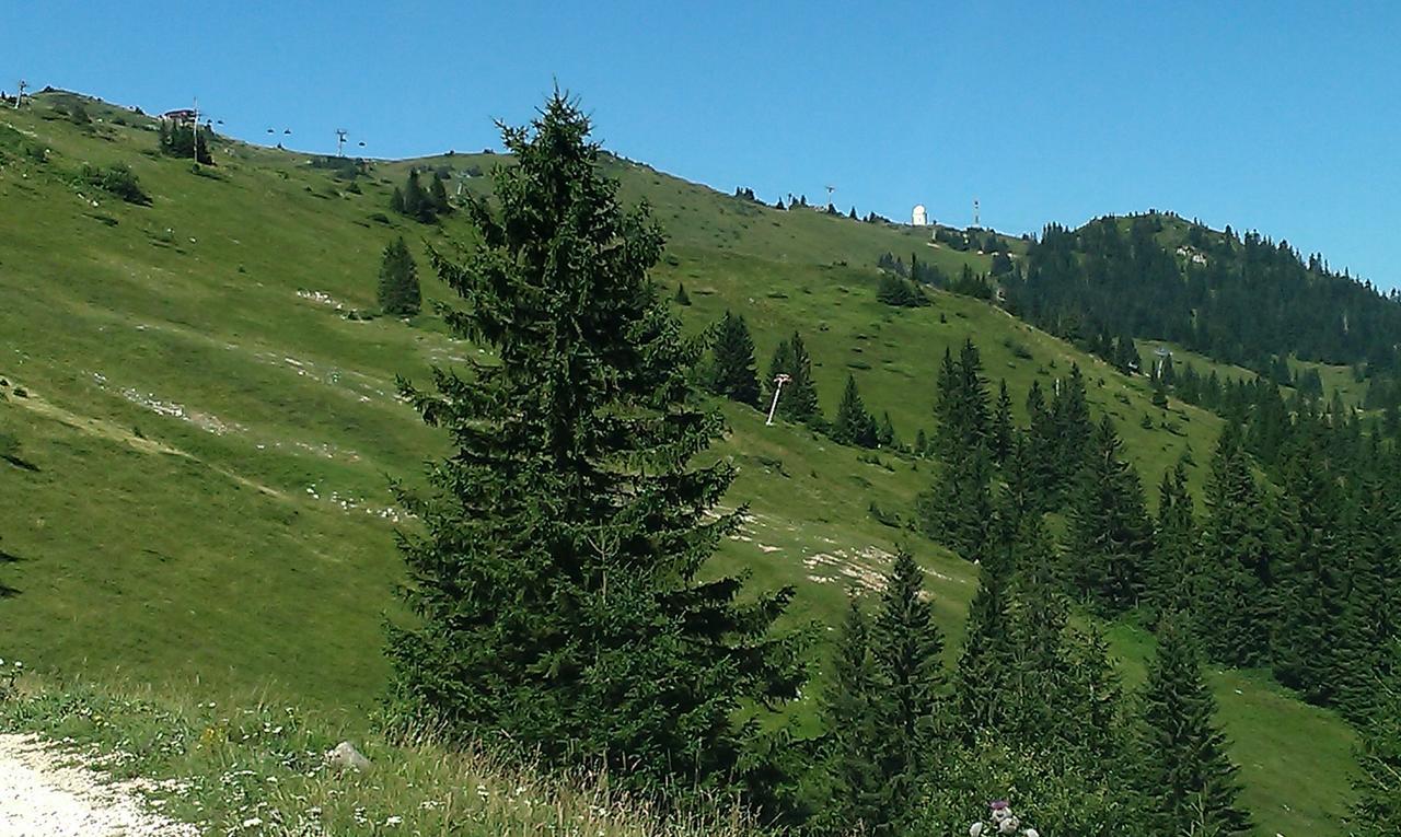 Apartmani Marija Jahorina Exterior foto